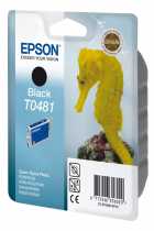 Заправка картриджа EPSON Stylus Photo R200 Black (T0481)